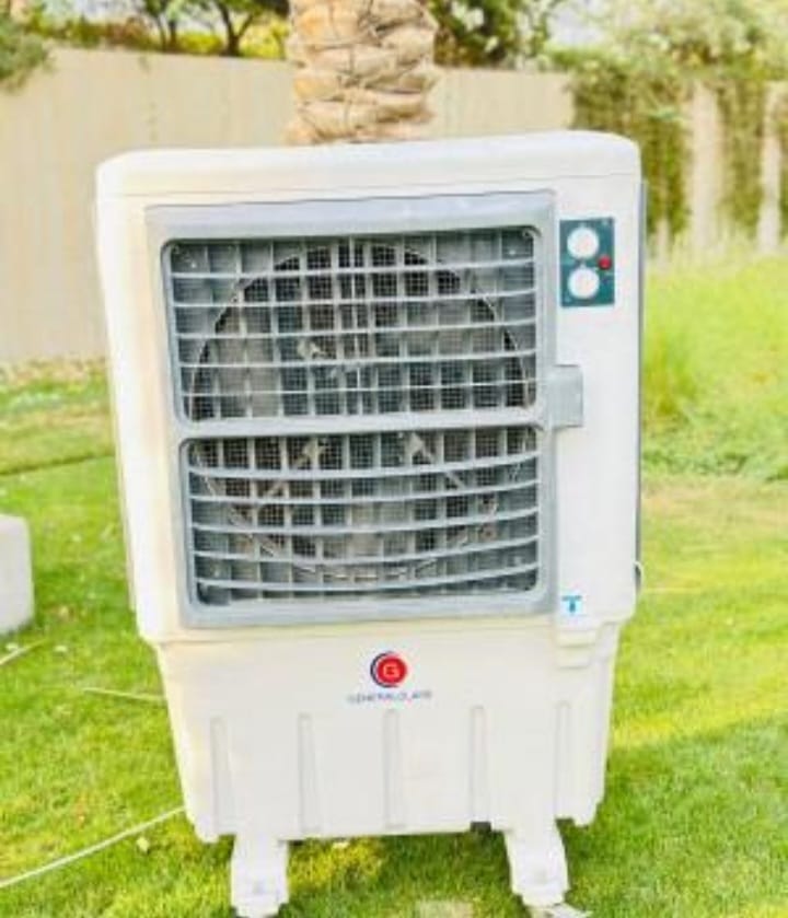 WhatsApp Image 2026-02-04 at 10.59.46 PM